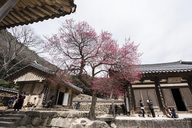 강아지랑 템플스테이? 반려견 가능한 사찰