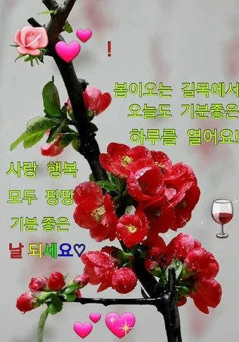 금요일 아침 인사말 이미지 문구 일러스트_5