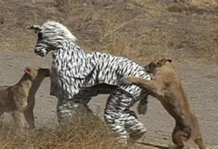 bdsm 헌터 파트너