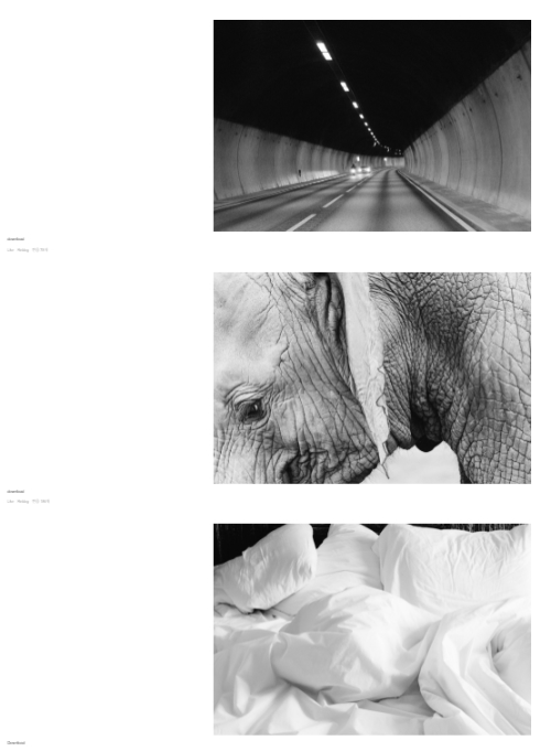 무료-이미지-사이트-제이맨트리