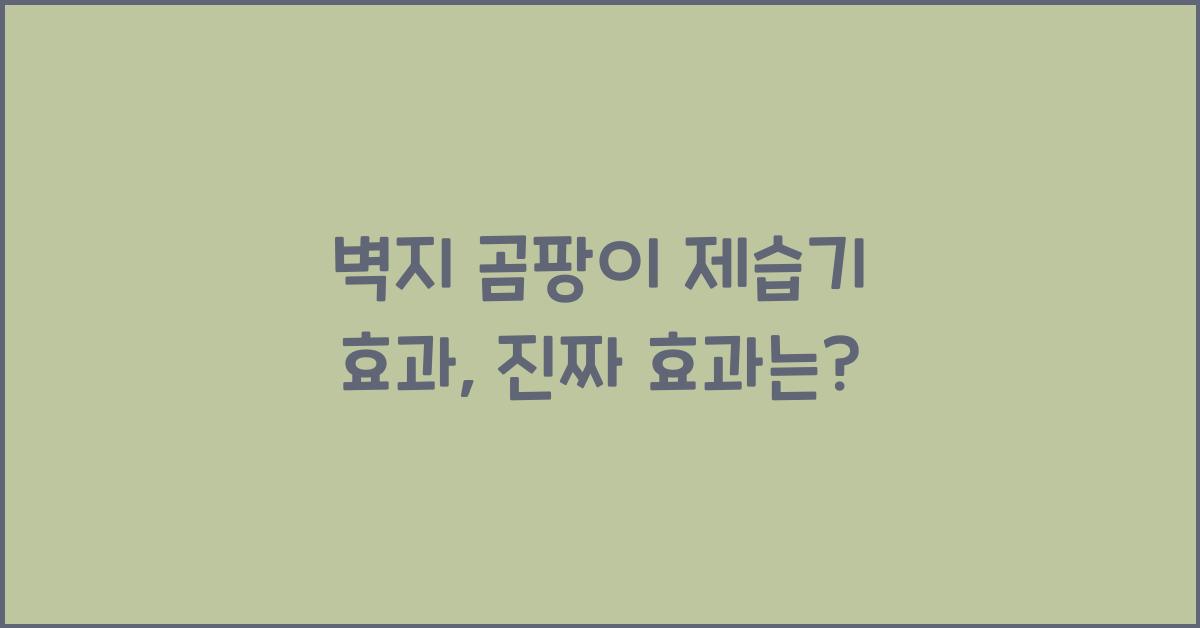 벽지 곰팡이 제습기 효과