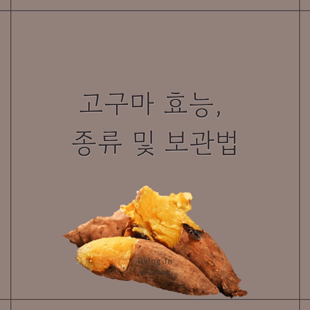 고구마 효능, 종류 및 보관법