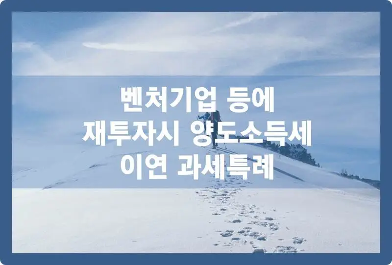 벤처기업 등에 재투자시 양도소득세 이연 과세특례