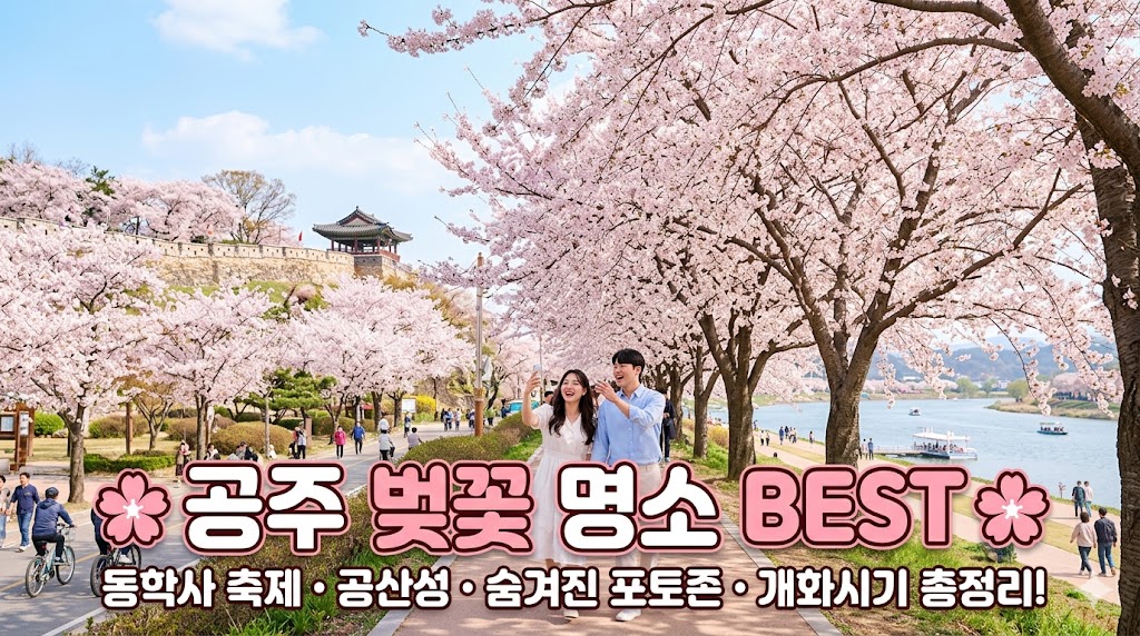 공주 벚꽃 명소