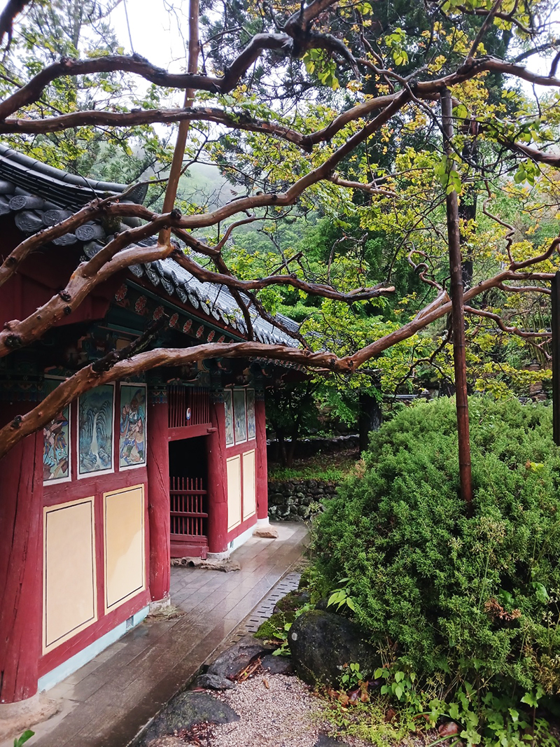 경남 쌍계사 템플스테이 신청 방법