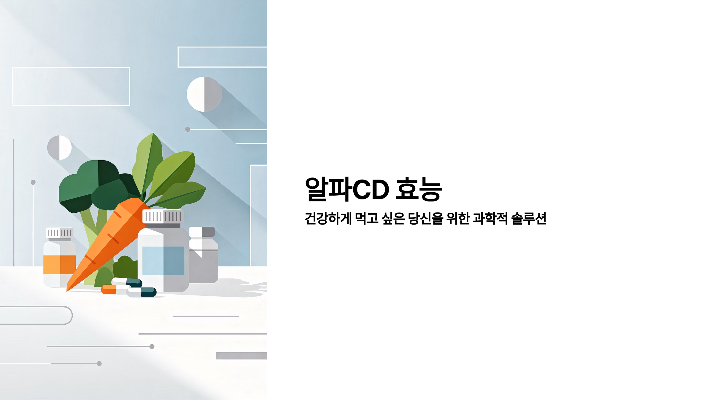 알파CD효능