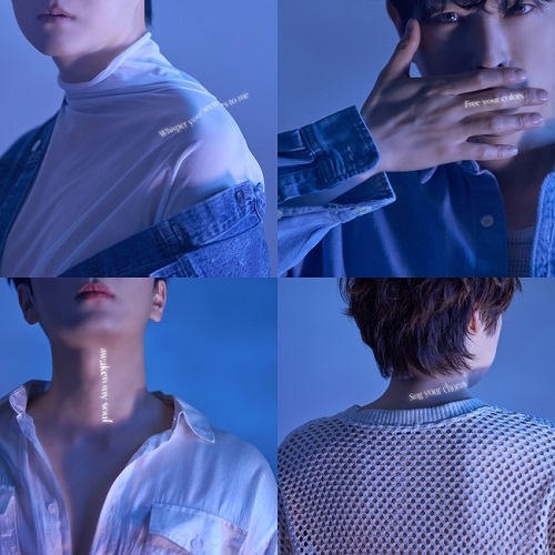포레스텔라 Forestella 화이트 나이트 White Night 백야 고우림 조민규 배두훈 강형호 곡설명 뮤비 가사