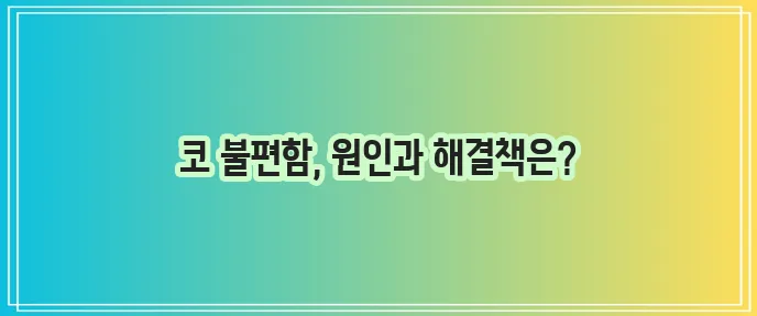 혈관운동성 비염 예방과 치료 방법은 필수입니다!