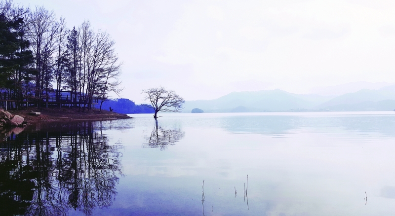 대청호 관련 사진