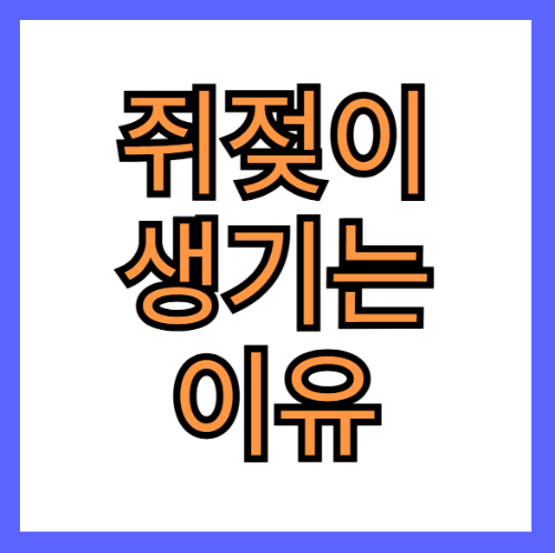 쥐젖이 생기는 이유