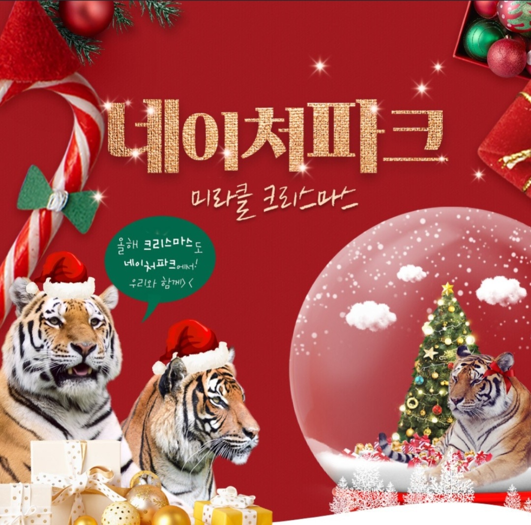 대구-네이처파크-미라클크리스마스