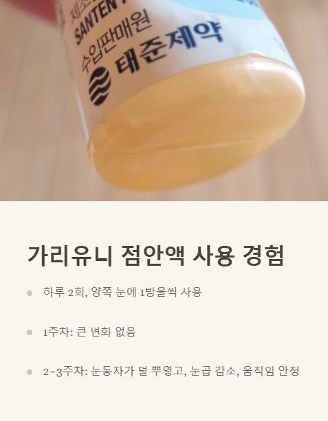 가리유니 점안액 사용 경험