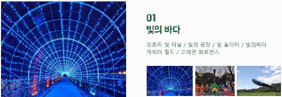 빛의바다