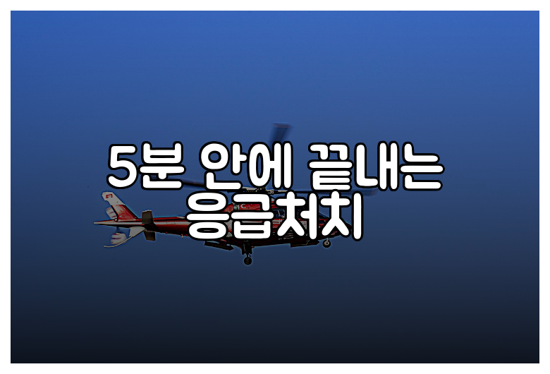 5분 안에 끝내는 응급처치