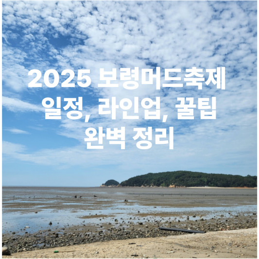 2025 보령머드축제 : 일정&amp;#44; 라인업&amp;#44; 꿀팁&amp;#44; 완벽 정리