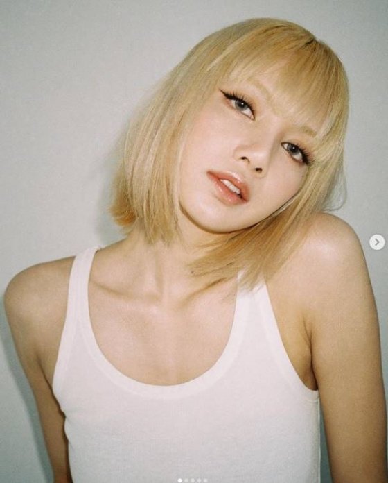 리사 이미지