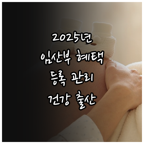 2025년 임산부 혜택: 등록관리 지..