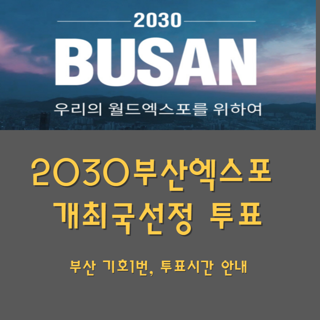 2030부산엑스포 투표시간
