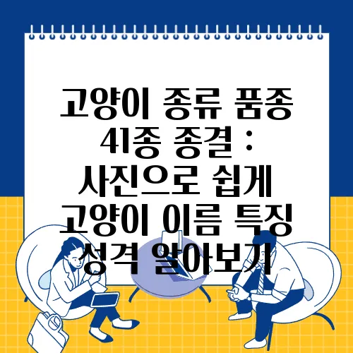 고양이 종류 품종 41종 종결 : 사진으로 쉽게 고양이 이름 특징 성격 알아보기