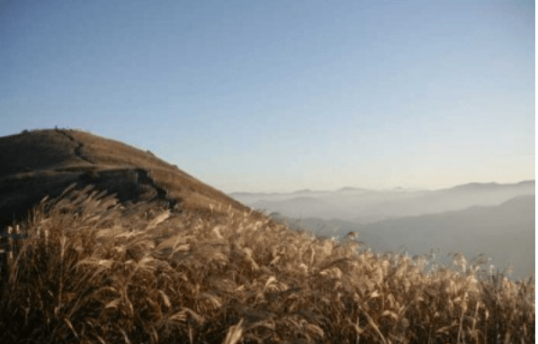 가을여행 단풍 기차여행 추천