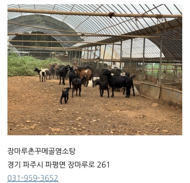 사노라면-장마루촌꾸메골염소탕-파주