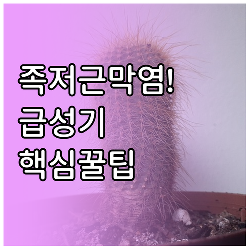 족저근막염 초기 증상 통증 완화 스트..