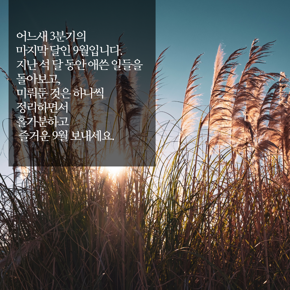 3분기 마지막 달을 잘 마무리하라는 9월 인사말 이미지