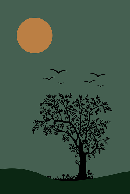 미니멀리즘과 여행 준비 가볍게 떠나는 나만의 여행 가이드