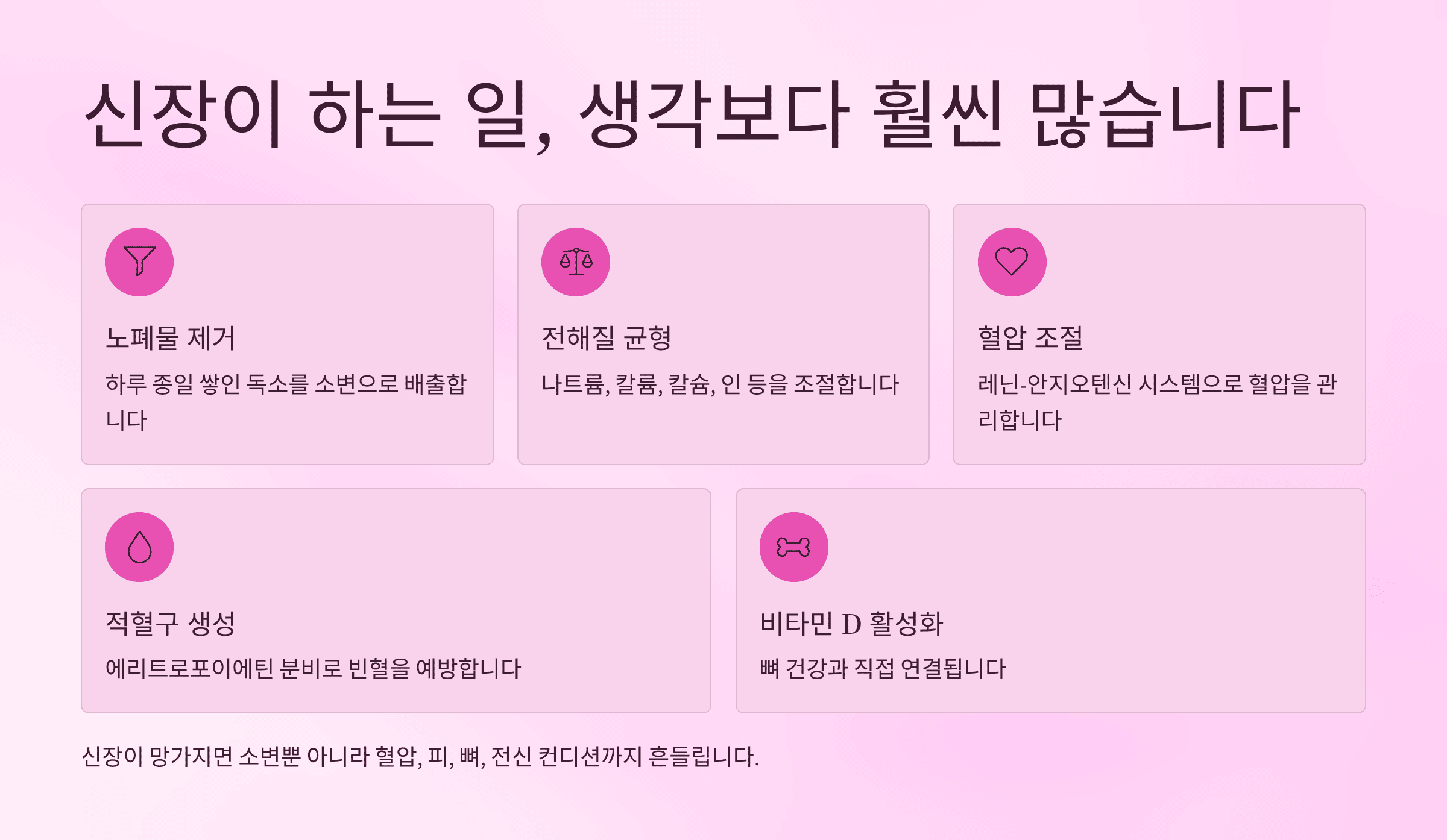 신장에 좋은 음식 총정리
