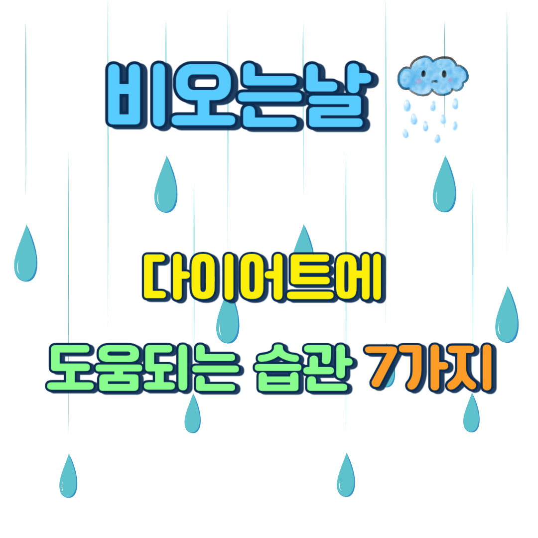 비오는날 다이어트