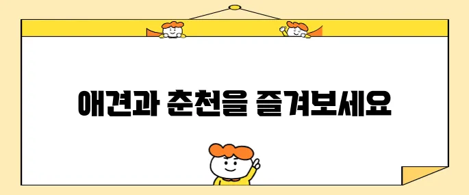강원도 여행의 즐거움, 애견과 함께하는 춘천 호텔 헤이 춘천 펫룸에서 만끽하세요!