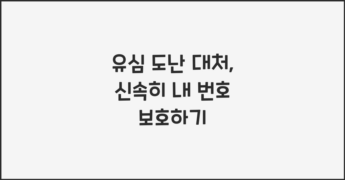 유심 도난 대처