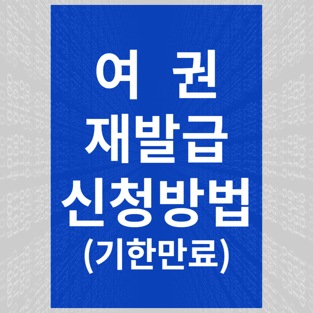 여권재발급신청