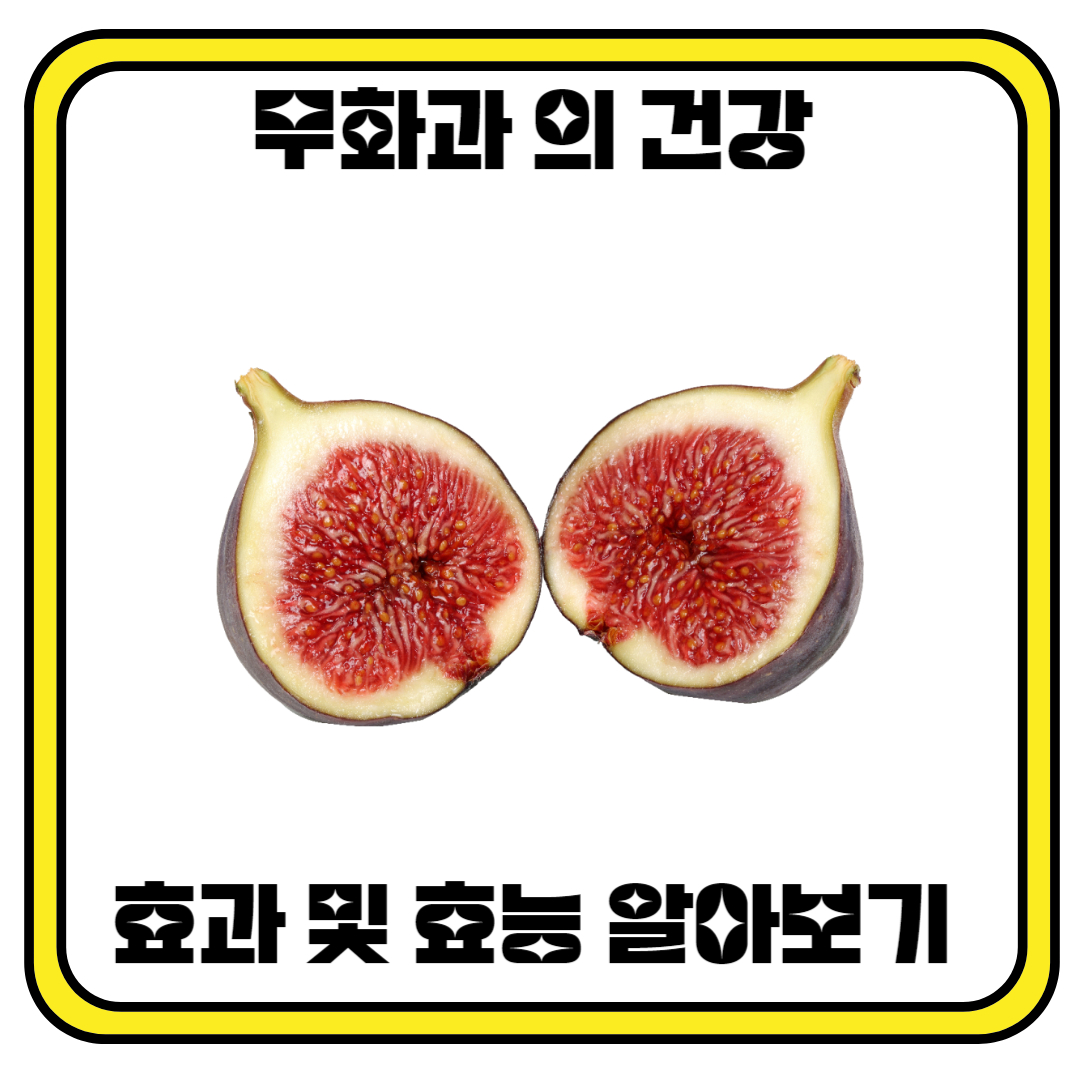 무화과의 건강 효과 및 효능