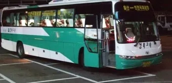 울산 공항 공항버스 리무진 시간표 예매 요금 타는곳_18