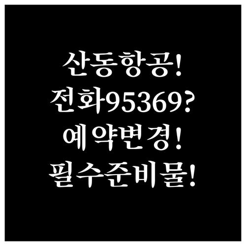 산동항공 고객센터 전화 95369와 ..