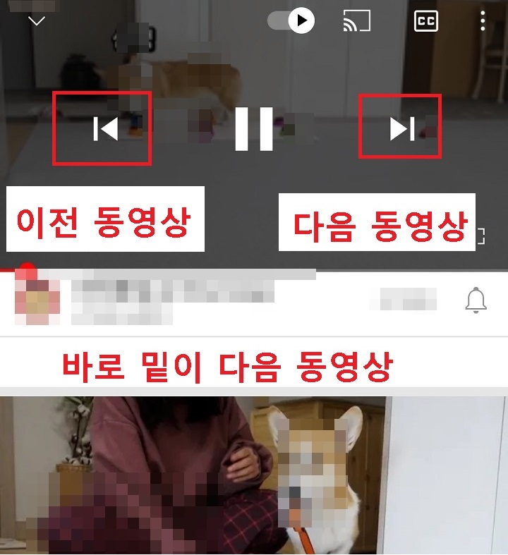 뒤로가기 앞으로가기 화살표가 보임