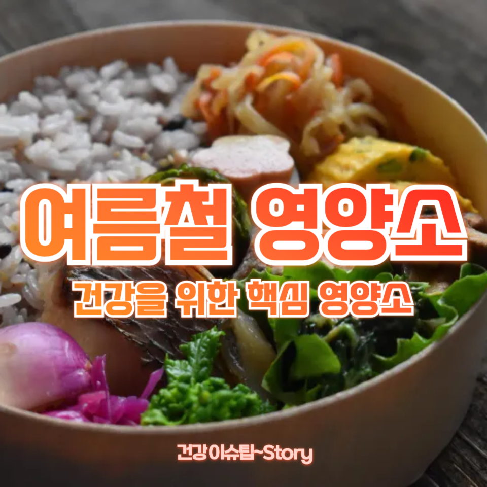 여름철 영양소