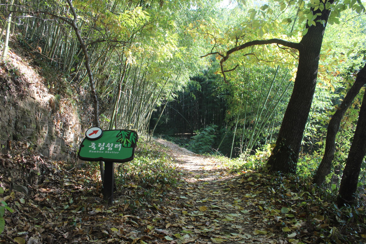 창녕 가볼만한곳 베스트10