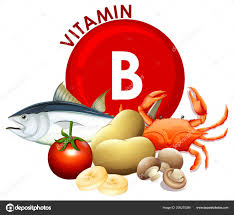 비타민B의 중요성