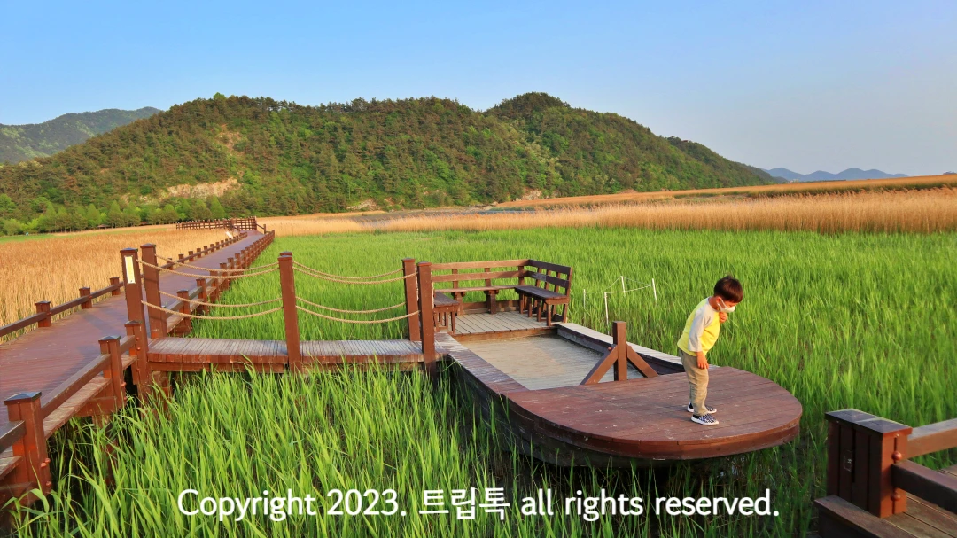 푸른하늘하애 누런 갈대숩에서 나무로 만든 배위에 올라가서 아래르 쳐다보니 남자아이