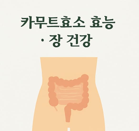 카무트효소 효능 TOP 5 - 먹는법·분말·골드카무트효소까지 총정리