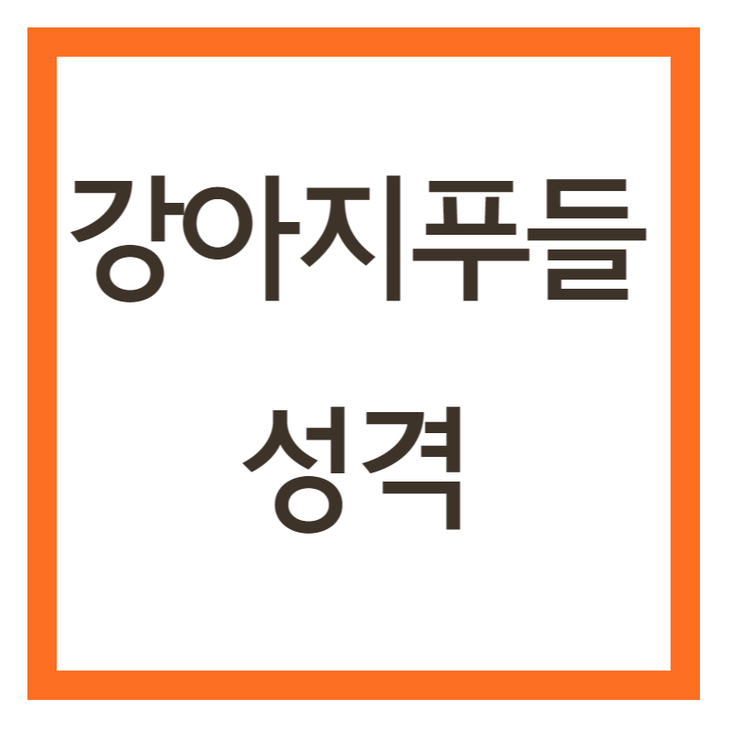 푸들 성격