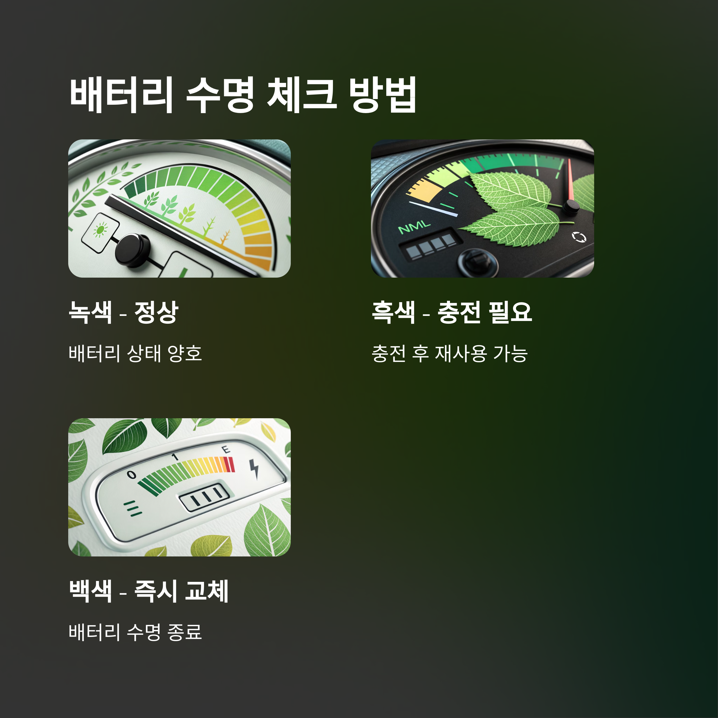 자동차 배터리