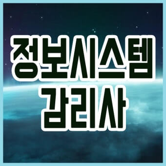 정보시스템 감리사