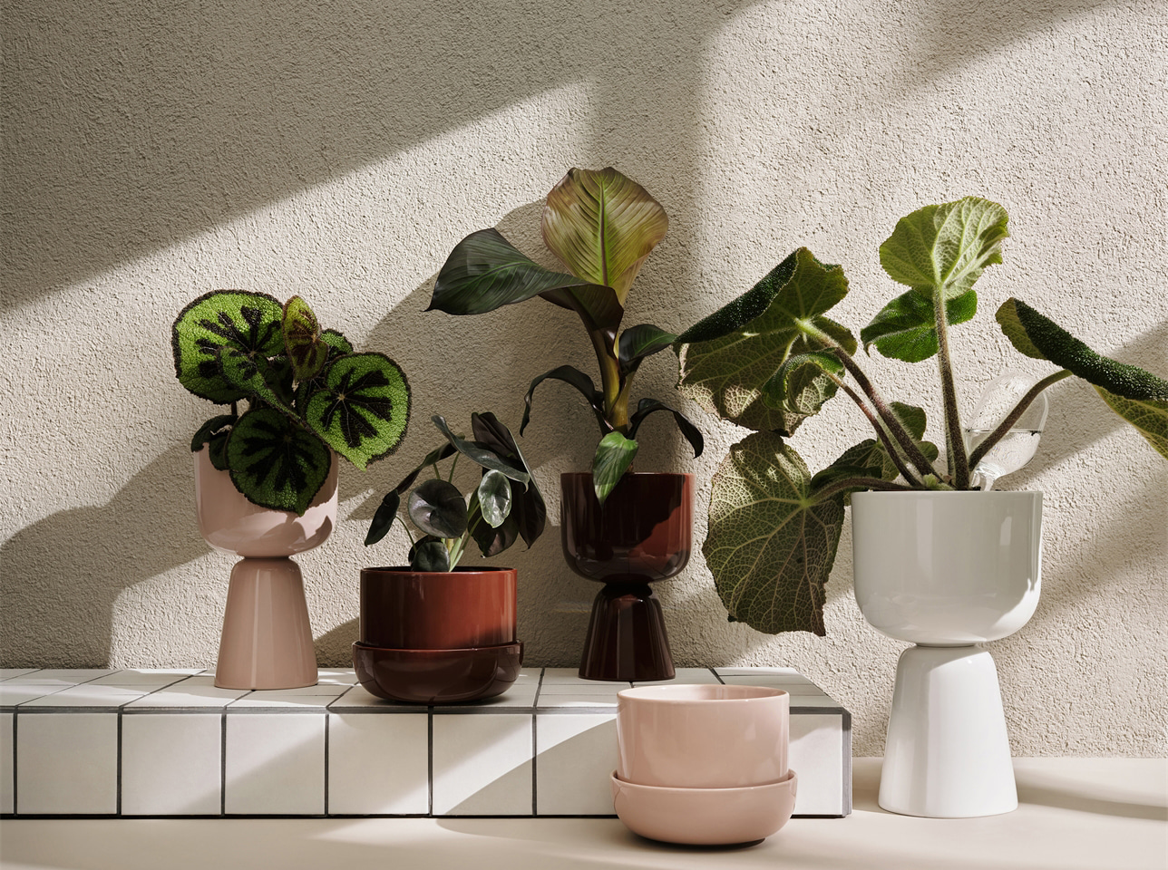 Iittala Nappula 플랜트 홀더