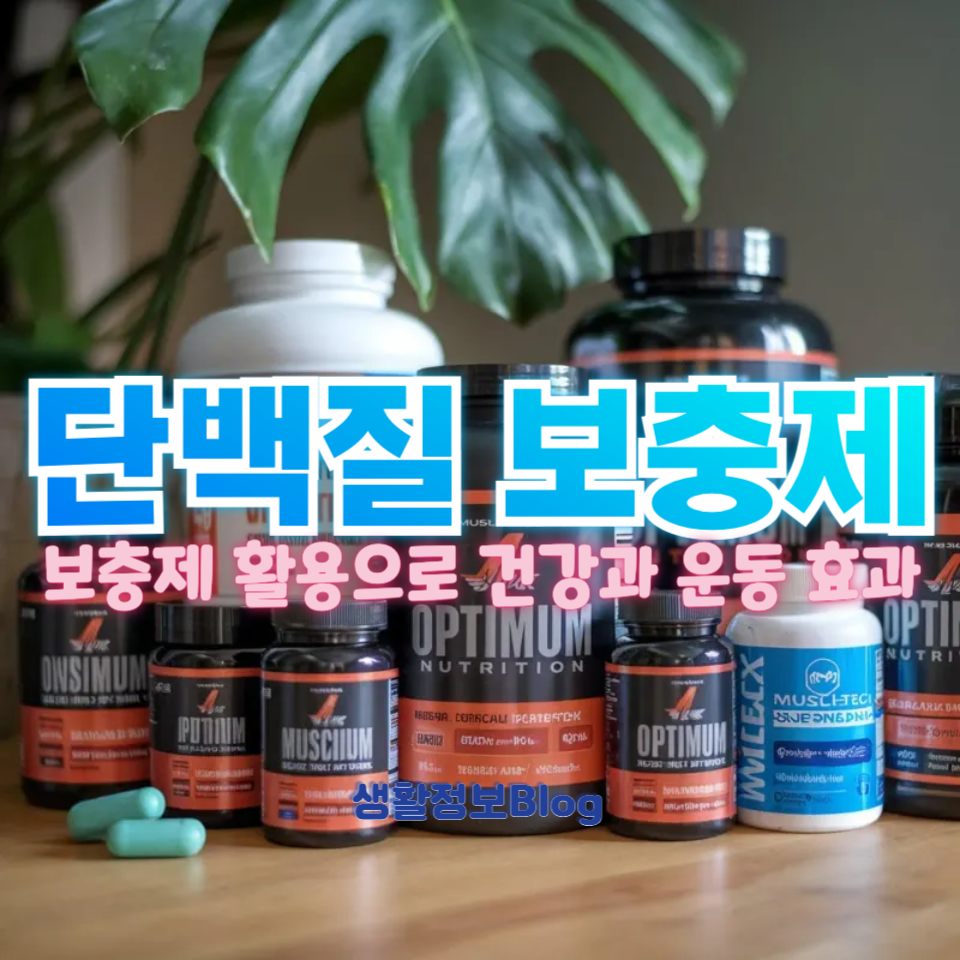 단백질 보충제