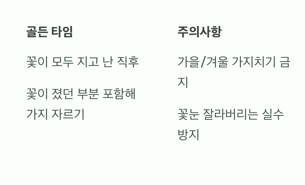 꽃을 부르는 마법, 가지치기