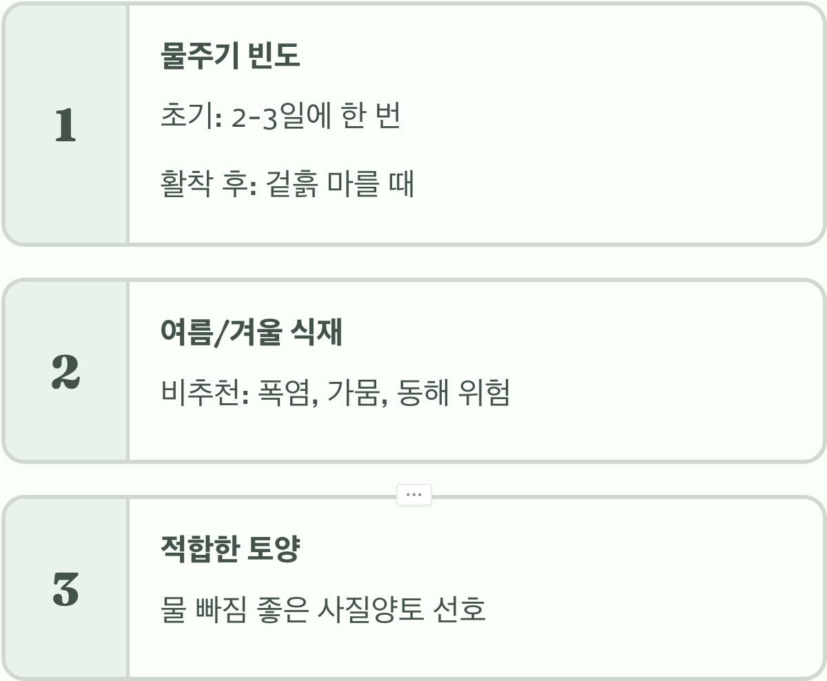 서양측백나무 심는 시기&amp;#44; 봄 vs 가을 언제가 더 좋을까?
