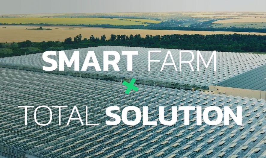 우듬지팜 주가분석 전망